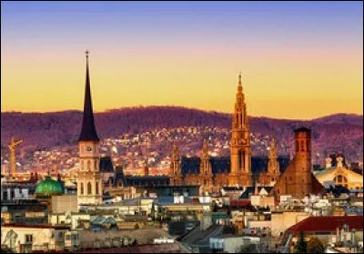 Quel est le nom des natifs de Vienne ?