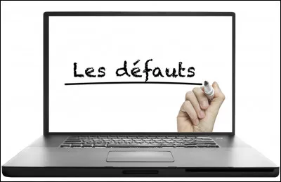 Quel est votre pire défaut ?