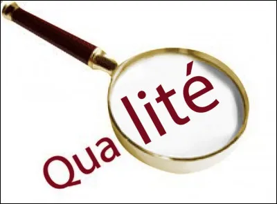 Quelle est votre meilleure qualité ?