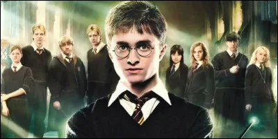 Dans "Harry Potter", votre personnage préféré est...
