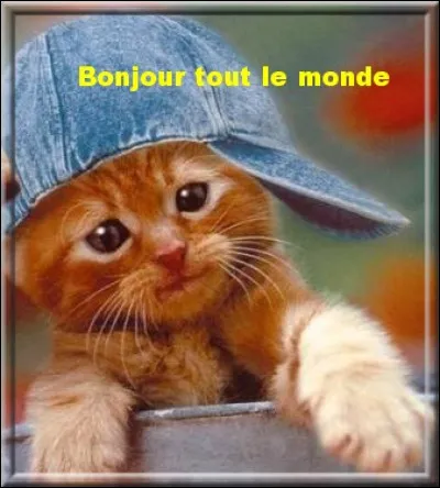 Dans quelle région pouvez-vous dire "adieu" pour dire "bonjour" ?