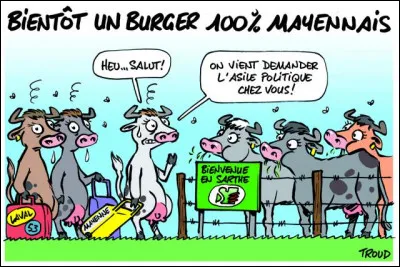 Comme on pourrait vous dire : Qu'est-ce que tu bouines ?