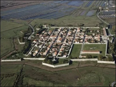 Malgré cette relative aisance, la région ne coupera pas aux famines de 1693-94 puis 1709 : la France perd 2 millions d'habitants. [...] en dénonce une des causes : laquelle ?