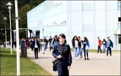 Qui a dit "Elle n'avait jamais su l'importance que peut revêtir un individu pour un autre, car elle n'avait jamais été solitaire" ?