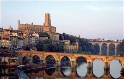 Célèbre ville du sud de la France, connue pour sa cathédrale fortifiée Sainte-Cécile et son palais de la Berbie.