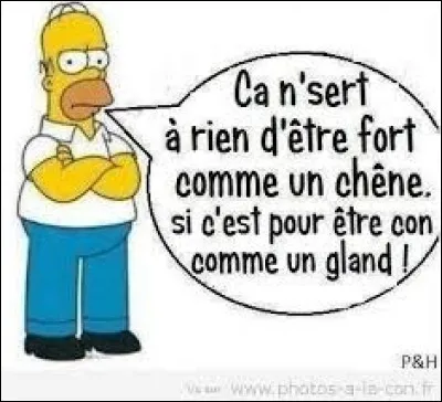 J'espère que c'est une blague ? !