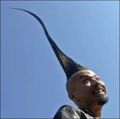 J'ai vu un monsieur avec une grande crête.