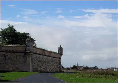 Spécialiste du fil à plomb pour parer les plombs, le célèbre ... mettra son grain de sel à Brouage : il en a mis partout, de ces petites cahutes qui dépassent, là, les ...