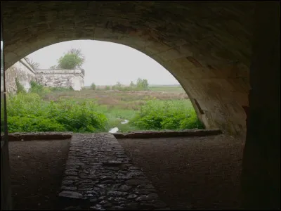 Petite question sportive : qui a accompli 21 fois la traversée de l'Atlantique, de ce rivage vers la Nouvelle-France et retour, autrement dit, le Canada actuel ?