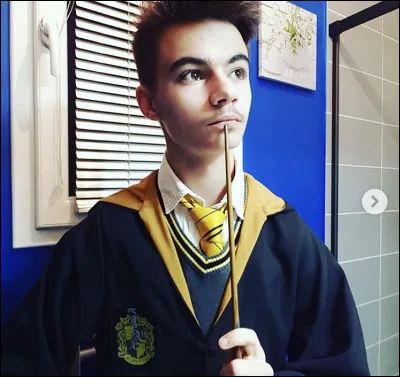 Quel caractère te correspond le plus ?