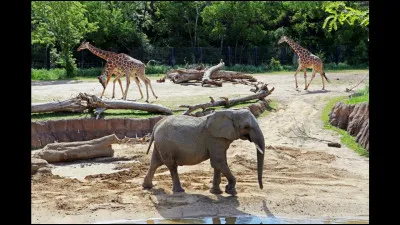 Le guide touristique termine cette visite par une question : Quel est le zoo le plus célèbre de l'est ?