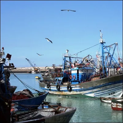 Quel est le plus grand port de p&ecirc;che de France ?