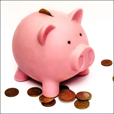 Quel animateur de t&eacute;l&eacute;vision &eacute;tait c&eacute;l&egrave;bre pour son amour de la langue fran&ccedil;aise, popularisant l'expression "de bon aloi" ?