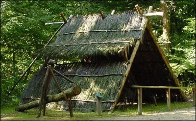 Dans quel département peut-on visiter le musée de La Forêt ?