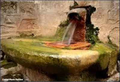 Son nom le dit bien, Chaudes-Aigues, ce sont ses eaux qui font sa réputation. Elles jaillissent bouillantes de la terre, à...