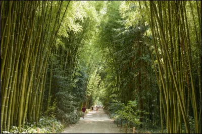 On se croirait en Asie, mais non, on est bien en France. Où se situe ce ''Jardin remarquable'' ?