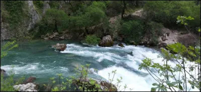 Fontaine de Vaucluse est un site merveilleux. À voir au printemps car bien plus impressionnant vu le débit de la rivière. Rivière qui sort de nulle part, on n'a pas encore trouvé la source. Quel poète italien vécu de nombreuses années à cet endroit ?