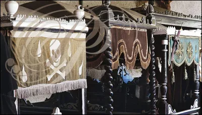 À Cazes-Mondenard, dans le Tarn-et-Garonne, il est un musée original. Il est en trois parties : une concerne diligences, calèches et carrosses en tous genres, une autre d'anciens tracteurs à chenilles et la troisième...