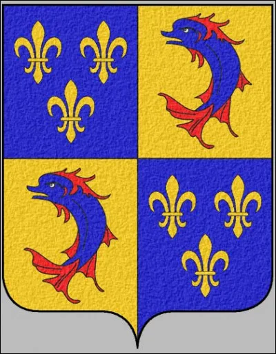 Il est vrai que parfois, ces images ne reflètent pas une réalité géographique mais tout à fait autre chose. Prenez celui-ci, par exemple :