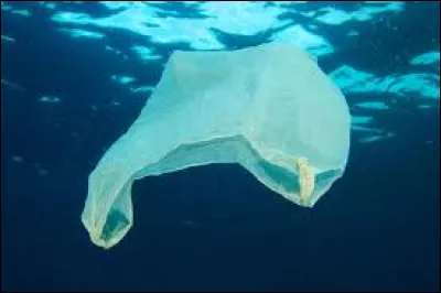 Quelle est la durée de vie d'un sac plastique en mer ?