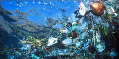 Qu'est-ce qu'un gyre ?