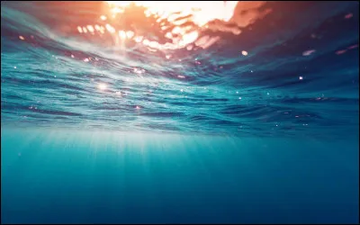 Quelle quantité de plastique est déversée chaque seconde dans les océans ?