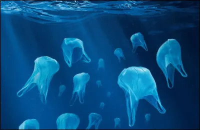 D'après une étude menée par la fondation Helen MacArthur, en quelle année y aura-t-il plus de plastique que de poissons dans nos océans ?