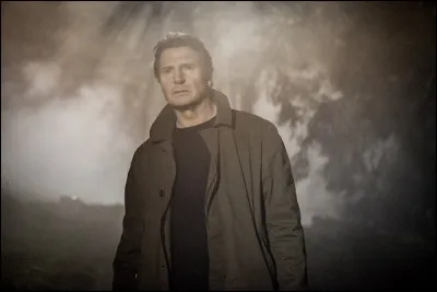 Quel est le personnage joué par Liam Neeson ?