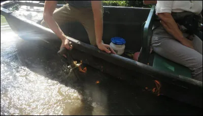 Mais que ce passe-t-il ? Horreur : notre guide a mis le feu au lac ! Quel est ce prodige, par St Glinglin et Milou réunis ?