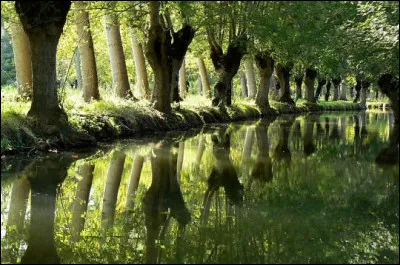 Il faut ici agir, vivre et parler en toute circonspection : en effet, le Marais est ...