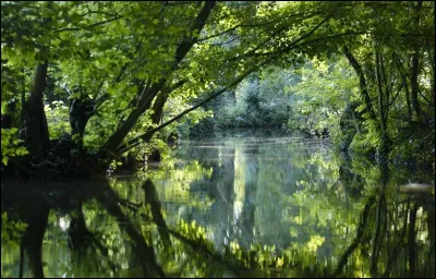 On lui donne aussi un autre nom, plus évocateur : la ...
