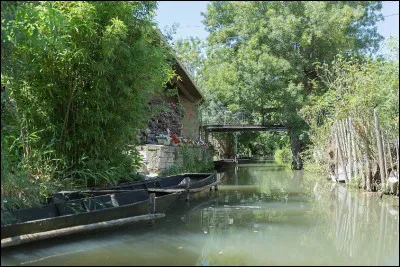 Avant de somnoler au gré du courant, un peu d'histoire : Jusqu'à 5 000 avant J-.C., la mer remonte jusqu'aux portes de [...] et le golfe des Pictons appelé aussi ... se comble peu à peu.