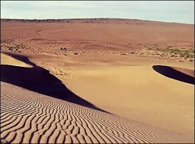 Dans quel pays peut-on trouver le d&eacute;sert de Gobi ?