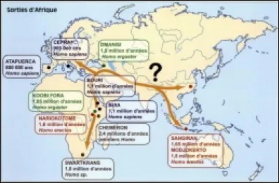 Quels sont les premiers hominid&eacute;s sortis d'Afrique vers deux millions d'ann&eacute;es ?
