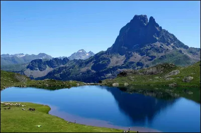 Continuons maintenant notre voyage avec le pic du Midi d'Ossau. C'est une montagne située dans le département des Pyrénées-Atlantiques, un endroit splendide situé dans la vallée éponyme. Mais justement, l'ossau-iraty est un fromage de la région. Il est fabriqué avec du lait de...
Indice : si je vous dis 'bélier', vous pensez bien sûr à la...