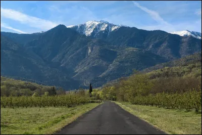 Escaladons désormais le Canigou ! Cette montagne est située dans les Pyrénées-Orientales et plus précisément, le massif du même nom. Son sommet est situé à 2 784 mètres d'altitude, ce qui n'est pas rien ! Seulement, cette montagne est un...
Indice : Edmond Rostand fait dire au Cyrano de Bergerac que son nez est un...