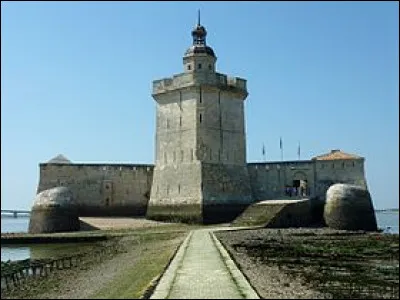 Moi je le dis : construire un truc pareil en pleine vase, ... !