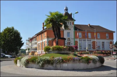 Petite ville de 7 000 habitants du département de l'Isère ; située dans le nord du département, elle fait partie de l'aire urbaine de Lyon :