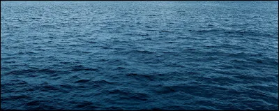 Parmi ces requins, lequel n'est pas considéré comme dangereux ?