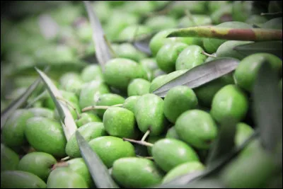 Comment appelle-t-on une petite olive à bout pointu que l'on consomme marinée en hors-d'oeuvre ?