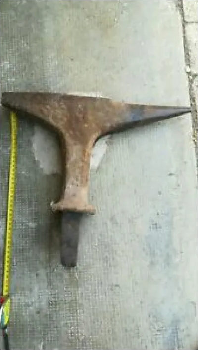 En Normandie, le vignot est le nom d'un animal : lequel ?