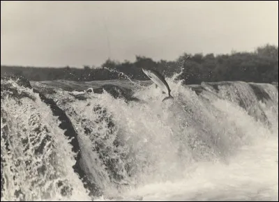 Au Tadjikistan, on paie en...