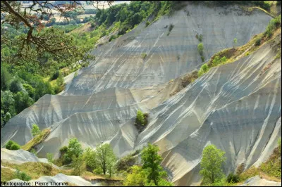 Ce canyon d'argile, le ravin de Corbuf, est une surprenante curiosité géologique. Où est situé ce ravin dont l'origine remonte à 40 millions d'années ?