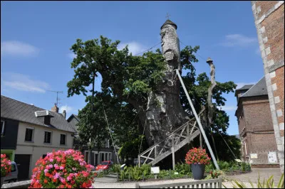 Où peut-on voir le chêne-chapelle, âgé de 1200 ans, mesurant 16 m de circonférence à la base, qui renferme deux chapelles superposées depuis le XVIIe siècle ?