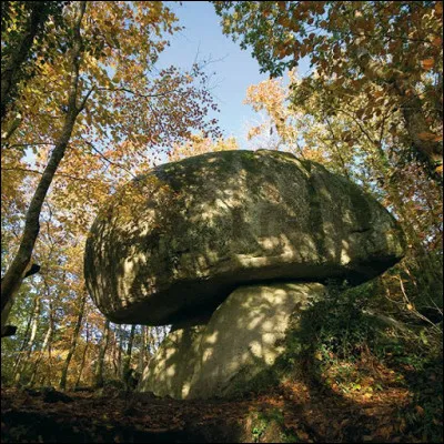 Quelle est cette forêt bretonne qui couvre des amoncellements de pierres que la légende a désignés comme l'uvre de Gargantua, le bon géant de l'imaginaire celtique ?