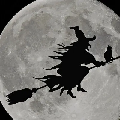 Au cur du Berry vous pourrez découvrir un musée dédié à la Sorcellerie, une découverte intelligente et sensorielle de l'histoire de la sorcellerie en Europe. Il se trouve dans...