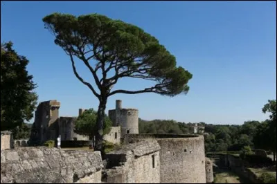 En 1794, la ville est compl&egrave;tement d&eacute;truite et d&eacute;sert&eacute;e durant deux ans, ses habitants en partie massacr&eacute;s. Deux voyageurs revenant ... entreprennent la construction : qui donc ?
