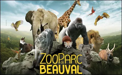 Beau comme Beauval : au zoo de Beauval qui rassemble
 3 000 animaux, vous pourrez rencontrer des springboks, mais encore ?