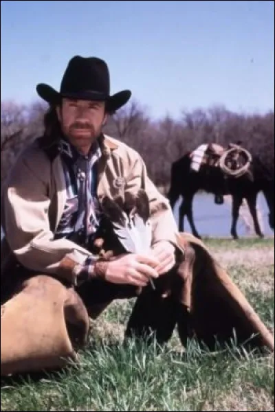L'image montre Chuck Norris dans...