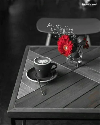 Qui chantait "La solitude, ça n'existe pas, peut-être encore pour quelques loups, quelques malheureux sangliers" ?